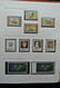 Delcampe - Falklandinseln: 1937-1998: Well Filled, Mostly MNH (till 1949 Hinged) Collection Falkland Islands 19 - Falklandinseln