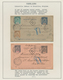 Französisch-Kongo: 1892/1933, Mint An Used Collection On Ten Pages With Better Stamps (for Example D - Gebraucht