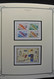 Delcampe - Georgien: 1919-2009: Very Extensive, MNH Collection Georgia 1919-2009 In Scott Album, In Which Unusu - Georgien