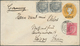 Delcampe - Indien - Used Abroad: 1890-1909 DANISH SETTLEMENT: Group Of 11 Postal Stationery Cards/envelopes Plu - Sonstige & Ohne Zuordnung