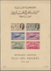 Libanon: 1924/1972, Sophisticated Balance In A Binder, Showing A Lovely Range Of Interesting Issues - Libanon