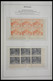 Delcampe - Malaiische Staaten - Penang: 1948-1986: Specialised Collection Malaysia Penang 1948-1986 With MNH, M - Penang