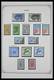Delcampe - Marokko: 1891-1984: Very Well Filled, Partly Double, Mostly MNH And Mint Hinged Collection Morocco 1 - Ungebraucht