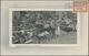 Delcampe - Niederländisch-Indien: 1910 (ca.) 2c Brown, On The Picture Side Of 14 Different Picture Postcards, T - Niederländisch-Indien