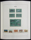 Palau: 1983-1999: MNH, Apparently Complete Collection Palau 1983-1999 In Davo Luxe Album And Stockbo - Palau