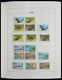 Delcampe - Palau: 1983-1999: MNH, Apparently Complete Collection Palau 1983-1999 In Davo Luxe Album And Stockbo - Palau