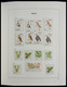 Delcampe - Palau: 1983-1999: MNH, Apparently Complete Collection Palau 1983-1999 In Davo Luxe Album And Stockbo - Palau