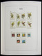 Delcampe - Palau: 1983-1999: MNH, Apparently Complete Collection Palau 1983-1999 In Davo Luxe Album And Stockbo - Palau