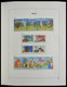 Delcampe - Palau: 1983-1999: MNH, Apparently Complete Collection Palau 1983-1999 In Davo Luxe Album And Stockbo - Palau