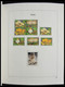 Delcampe - Palau: 1983-1999: MNH, Apparently Complete Collection Palau 1983-1999 In Davo Luxe Album And Stockbo - Palau