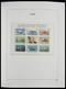 Delcampe - Palau: 1983-1999: MNH, Apparently Complete Collection Palau 1983-1999 In Davo Luxe Album And Stockbo - Palau