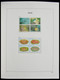 Delcampe - Palau: 1983-1999: MNH, Apparently Complete Collection Palau 1983-1999 In Davo Luxe Album And Stockbo - Palau