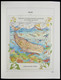 Delcampe - Palau: 1983-1999: MNH, Apparently Complete Collection Palau 1983-1999 In Davo Luxe Album And Stockbo - Palau