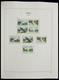 Delcampe - Palau: 1983-1999: MNH, Apparently Complete Collection Palau 1983-1999 In Davo Luxe Album And Stockbo - Palau