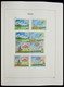 Delcampe - Palau: 1983-1999: MNH, Apparently Complete Collection Palau 1983-1999 In Davo Luxe Album And Stockbo - Palau