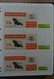 Delcampe - Papua Neuguinea: 1935-2007: Beautiful, As Good As Complete, MNH Collection Papua New Guinea 1935-200 - Papua-Neuguinea