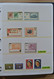 Delcampe - Papua Neuguinea: 1935-2007: Beautiful, As Good As Complete, MNH Collection Papua New Guinea 1935-200 - Papua-Neuguinea