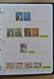 Delcampe - Papua Neuguinea: 1935-2007: Beautiful, As Good As Complete, MNH Collection Papua New Guinea 1935-200 - Papua-Neuguinea