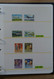 Delcampe - Papua Neuguinea: 1935-2007: Beautiful, As Good As Complete, MNH Collection Papua New Guinea 1935-200 - Papua-Neuguinea