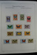 Papua Neuguinea: 1952-2006: Almost Complete, MNH (few Older Stamps Hinged) Collection Papua New Guin - Papua-Neuguinea