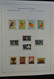 Delcampe - Papua Neuguinea: 1952-2006: Almost Complete, MNH (few Older Stamps Hinged) Collection Papua New Guin - Papua-Neuguinea