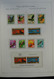 Delcampe - Papua Neuguinea: 1952-2006: Almost Complete, MNH (few Older Stamps Hinged) Collection Papua New Guin - Papua-Neuguinea