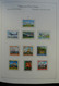 Delcampe - Papua Neuguinea: 1952-2006: Almost Complete, MNH (few Older Stamps Hinged) Collection Papua New Guin - Papua-Neuguinea