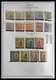 Delcampe - Paraguay: 1870-1964: Extensive, MNH, Mint Hinged And Used Collection Paraguay 1870-1964 In Selfmade - Paraguay