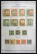 Delcampe - Paraguay: 1870-1964: Extensive, MNH, Mint Hinged And Used Collection Paraguay 1870-1964 In Selfmade - Paraguay