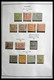 Delcampe - Paraguay: 1870-1964: Extensive, MNH, Mint Hinged And Used Collection Paraguay 1870-1964 In Selfmade - Paraguay