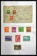 Delcampe - Paraguay: 1870-1964: Extensive, MNH, Mint Hinged And Used Collection Paraguay 1870-1964 In Selfmade - Paraguay