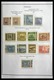 Delcampe - Paraguay: 1870-1964: Extensive, MNH, Mint Hinged And Used Collection Paraguay 1870-1964 In Selfmade - Paraguay