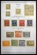 Delcampe - Paraguay: 1870-1964: Extensive, MNH, Mint Hinged And Used Collection Paraguay 1870-1964 In Selfmade - Paraguay