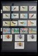 Samoa: 1886-1995: Well Filled, MNH And Mint Hinged Collection Samoa 1886-1995 On Hagner Stockpages I - Samoa