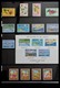 Delcampe - Samoa: 1886-1995: Well Filled, MNH And Mint Hinged Collection Samoa 1886-1995 On Hagner Stockpages I - Samoa