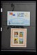 Delcampe - Samoa: 1886-1995: Well Filled, MNH And Mint Hinged Collection Samoa 1886-1995 On Hagner Stockpages I - Samoa