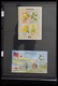 Delcampe - Samoa: 1886-1995: Well Filled, MNH And Mint Hinged Collection Samoa 1886-1995 On Hagner Stockpages I - Samoa