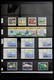 Delcampe - Samoa: 1886-1995: Well Filled, MNH And Mint Hinged Collection Samoa 1886-1995 On Hagner Stockpages I - Samoa