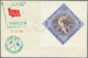 Delcampe - Schardscha / Sharjah: 1963/1964, Assortment Of 21 Cacheted "f.d.c." (some Dates Differ From Those St - Schardscha