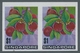 Delcampe - Singapur: 1973, Flowers And Fruits Defintives Complete Set Of 13 In A Lot With About 50 IMPERFORATE - Singapur (...-1959)