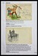 Delcampe - Südafrika - Besonderheiten: 1895-1902: Beautiful Exhibition Collection Of In Total 182 Picture Postc - Other & Unclassified