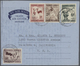 Südwestafrika: 1945/89 Accumulation Af Ca. 188 Unused/used CTO Aerogrammes, With Many Different Cach - South West Africa (1923-1990)
