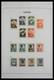 Delcampe - Surinam: 1873-1975: Almost Complete, MNH, Mint Hinged And Used Collection Surinam 1873-1975 In Davo - Suriname ... - 1975