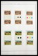 Delcampe - Surinam: 1977-2004: Beautiful, Very Extensive, MNH Collection Gutterpairs Of Surinam 1977-2004, Incl - Suriname ... - 1975