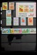 Delcampe - Trinidad Und Tobago: 1851-1999: Well Filled, MNH, Mint Hinged And Used Collection Trinidad And Tobag - Trinidad & Tobago (1962-...)