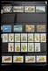 Delcampe - Trinidad Und Tobago: 1851-1999: Well Filled, MNH, Mint Hinged And Used Collection Trinidad And Tobag - Trindad & Tobago (1962-...)