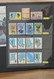 Tuvalu: 1976-2007: Complete, MNH Collection Tuvalu 1976-2007 In 2 Albums, Including Stampbooklets, G - Tuvalu (fr. Elliceinseln)