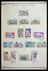 Delcampe - Ubangi-Schari-Tschad: 1916-1985: Nice, Almost Complete, Mostly MNH And Mint Hinged Collection Oubang - Sonstige & Ohne Zuordnung