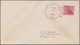 Delcampe - Vereinigte Staaten Von Amerika: 1850/1990 (ca.), Mainly Before 1940s, Holding Of Apprx. 200 Covers/c - Briefe U. Dokumente