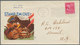 Delcampe - Vereinigte Staaten Von Amerika: 1938/1967, Collection Of Apprx. 85 Entires, Mainly WWII/field Post-r - Briefe U. Dokumente